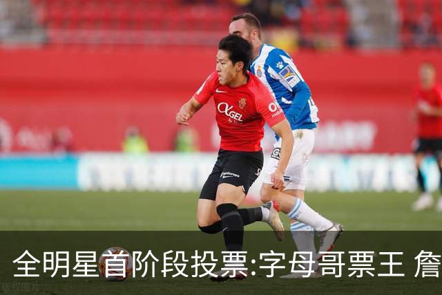 全明星首阶段投票:字母哥票王 詹姆斯西部票王